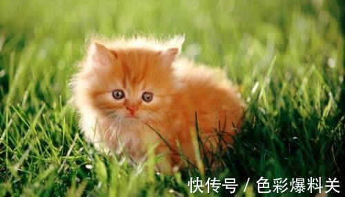 |幽默笑话:公司来了一新同事,据说是某名牌大学毕业的,恃才自傲