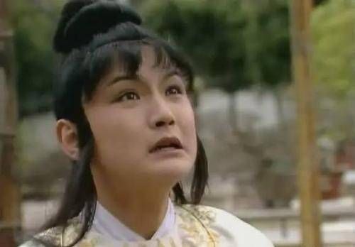 牡丹花|薛宝钗是牡丹花,为什么贾府无牡丹,多芙蓉花曹公寓意太晦涩