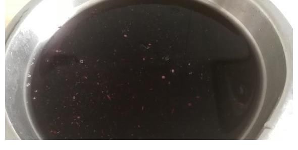 玉米碴子|5杯牛奶都不如它！一煮一卷就搞定，建议常给孩子做这道早餐，香