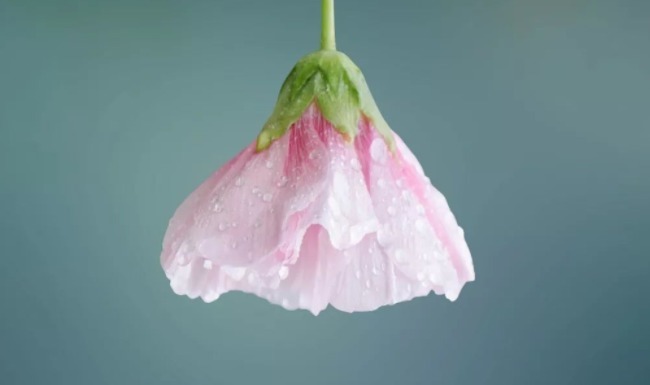 胡曹&一个真正厉害的人,懂得“空杯理论”