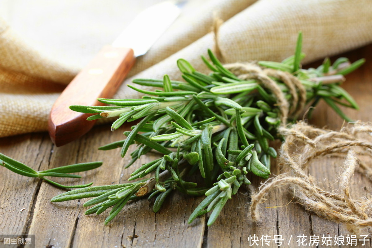 家里养一盆这种植物，不但提升“大脑能量”，还能祛食物异味