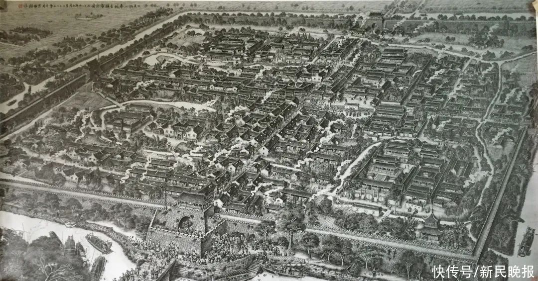 金汇|惊艳!钢笔画里的上海水乡