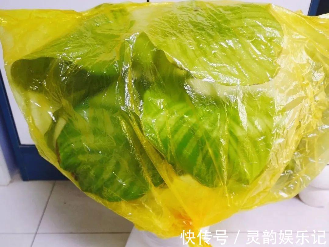 6种花一天不浇水，叶子就耷拉，缺水3天就死翘！