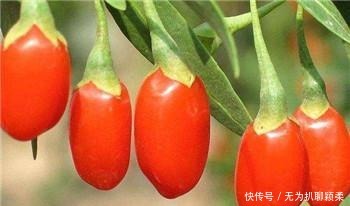 食物|3种食物, 让血管越吃越干净