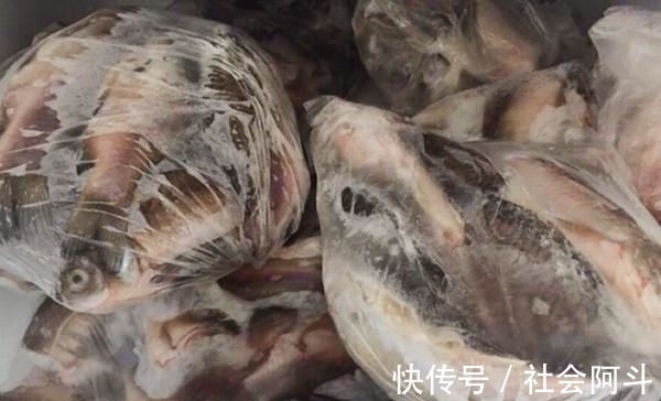 表哥|鱼肉保鲜，到底要不要去内脏？教你正确方法，吃着跟活鱼一样新鲜
