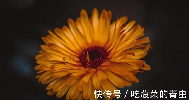 旧爱|7月底，相濡以沫，破镜重圆，桃花旺盛，月老眷顾的生肖