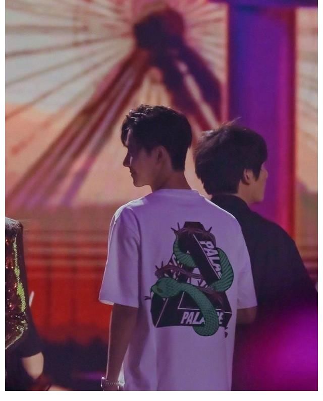 |粉丝抵制了个笑话,王一博赵丽颖二搭已定