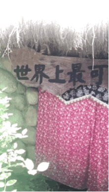  猕猴|六耳猕猴明知道自己是假的，为什么敢去见如来?