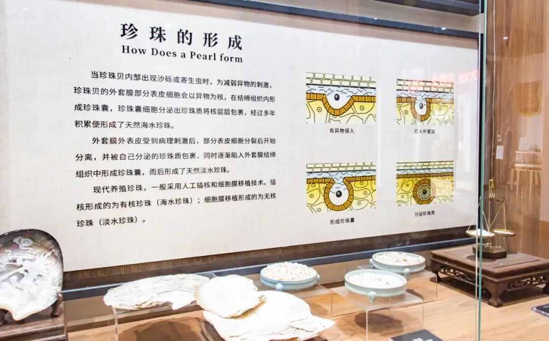 南海区 为爱美人士提供浪漫首饰!“90后”一手打造南海首家珍珠文化馆→