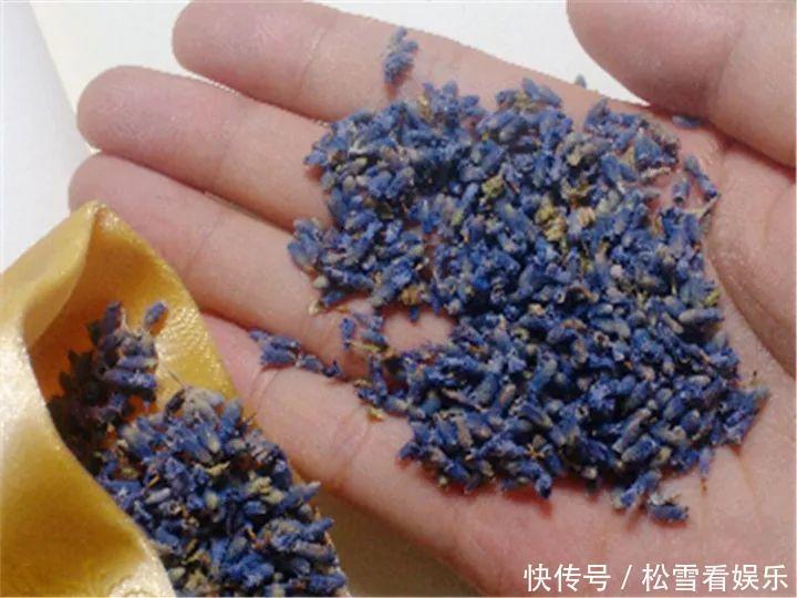 种花|3种花浑身都是宝,能炒菜能煲汤,养在屋里香气飘飘!