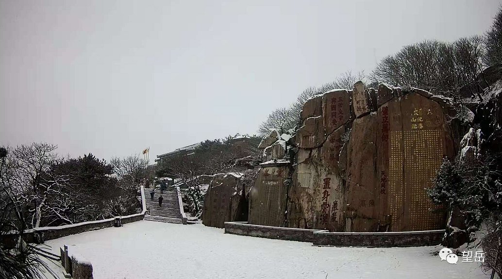  最低温|下雪了！下雪了！山东多地喜提今冬第一场雪！明天最低温降至-4℃！