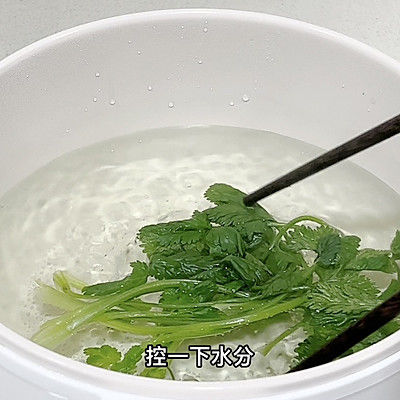 白菜|白菜豆腐包