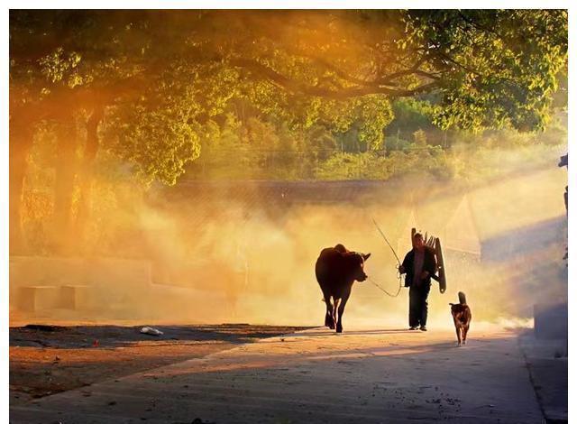 好好学习|孩子以后有没有出息,就看这4点,与学习成绩无关