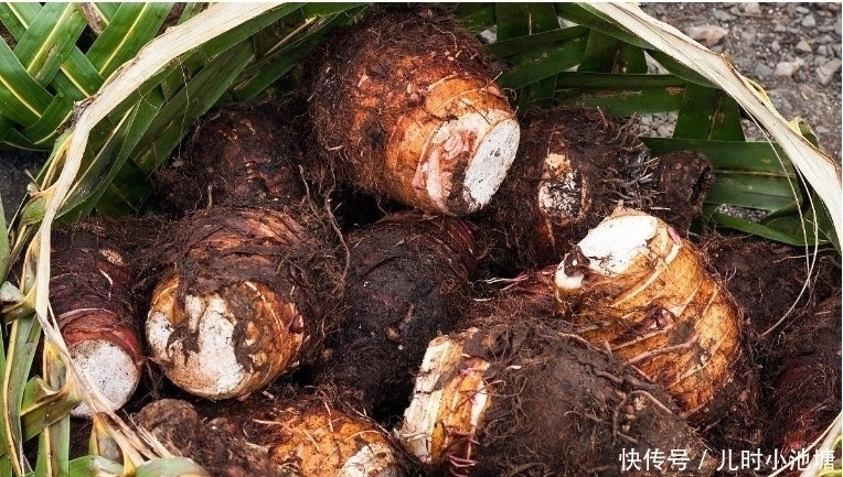 植物蛋白|芋头和此物一起煮，胃舒服了，失眠消失了，视力也越来越好