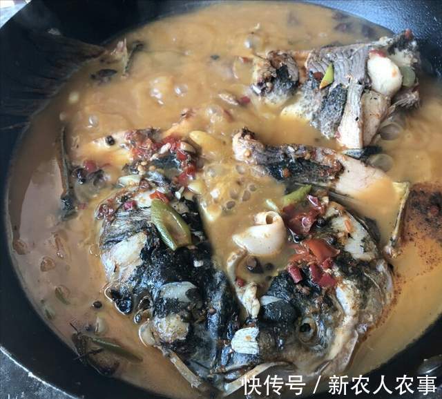 老板|“钓王”邓刚伪装成新手,花260块钓走1000元鲢鳙,老板看到心痛