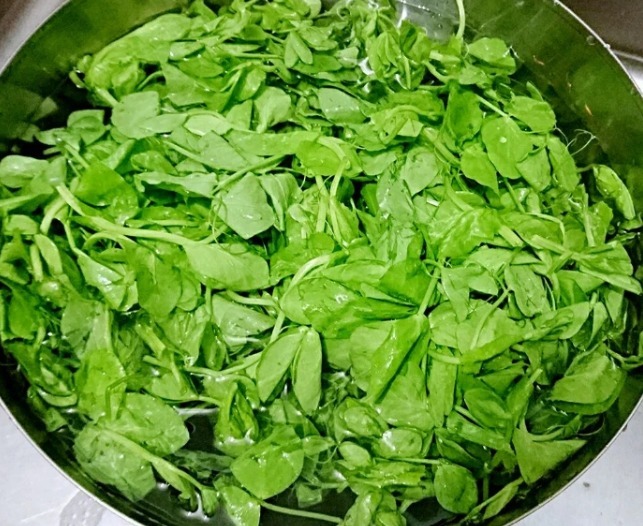 豌豆尖|这菜对视力好，隔三差五吃，双眼明亮，补充钙质，肝脏越来越健康