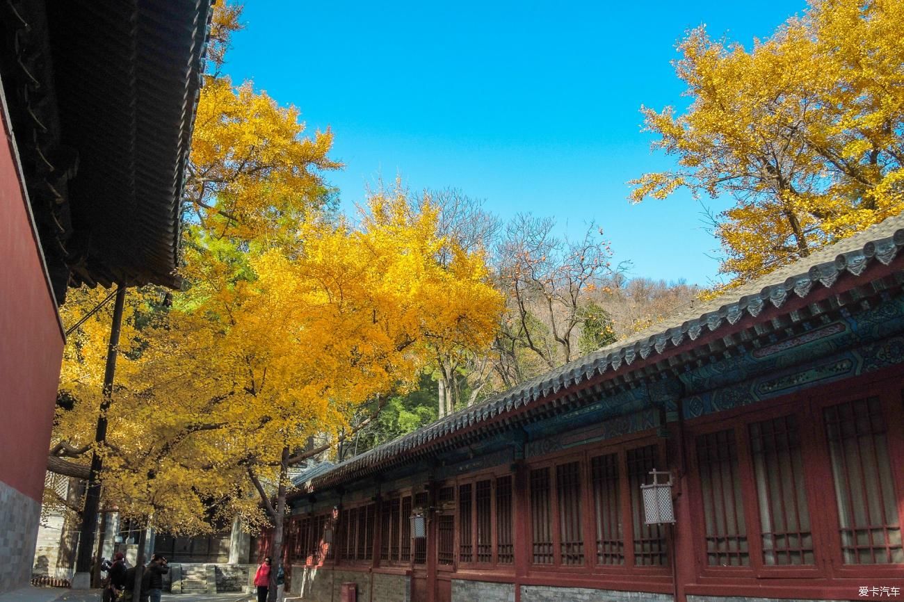  西山|西山大觉寺赏秋正当时