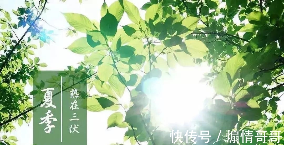 南箕|三伏天来临，到古诗词里度苦夏，觅清凉