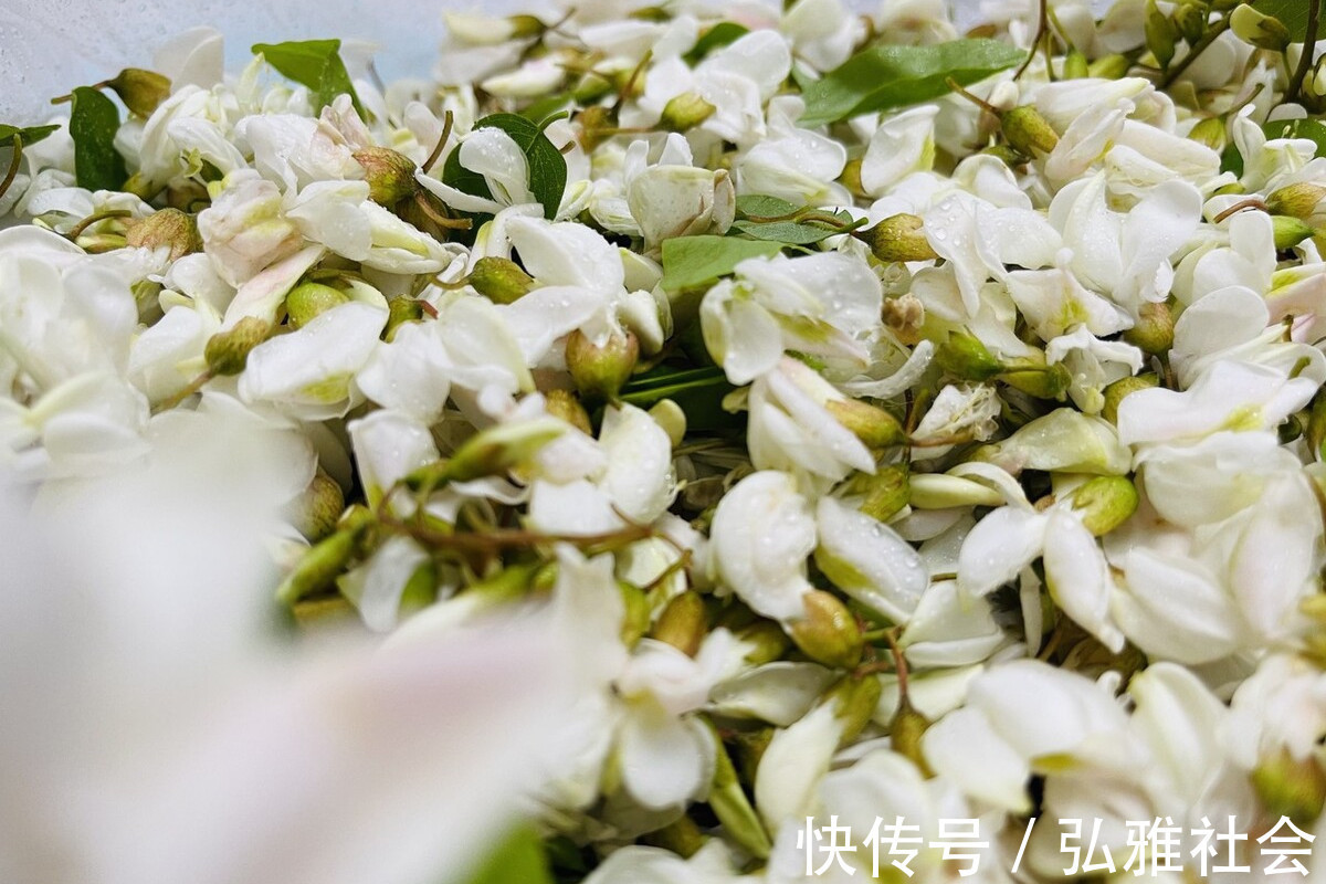 槐花|又到了吃槐花的季节,教你2个保存技巧,一年四季都能吃到鲜槐花