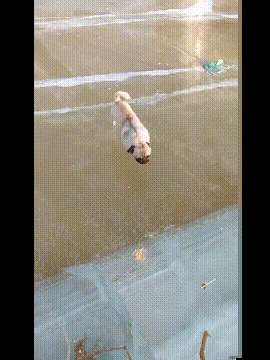 |幽默段子:我就想知道,你们吃花生豆这样吃吗