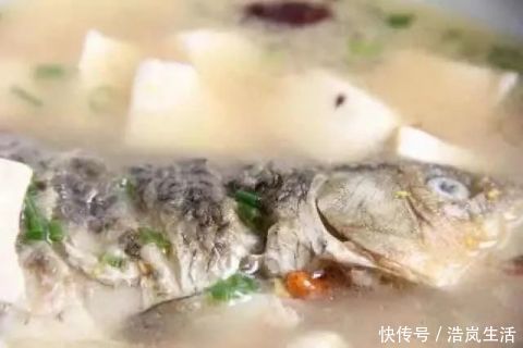 老少皆宜|豆腐这样吃,营养更翻倍!配上“黄金搭档”,全家老少吃得健康