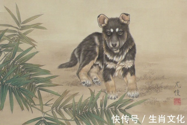 生肖|12月17日开始,开门接喜,吉星庇护,正财横财陆续降临的生肖