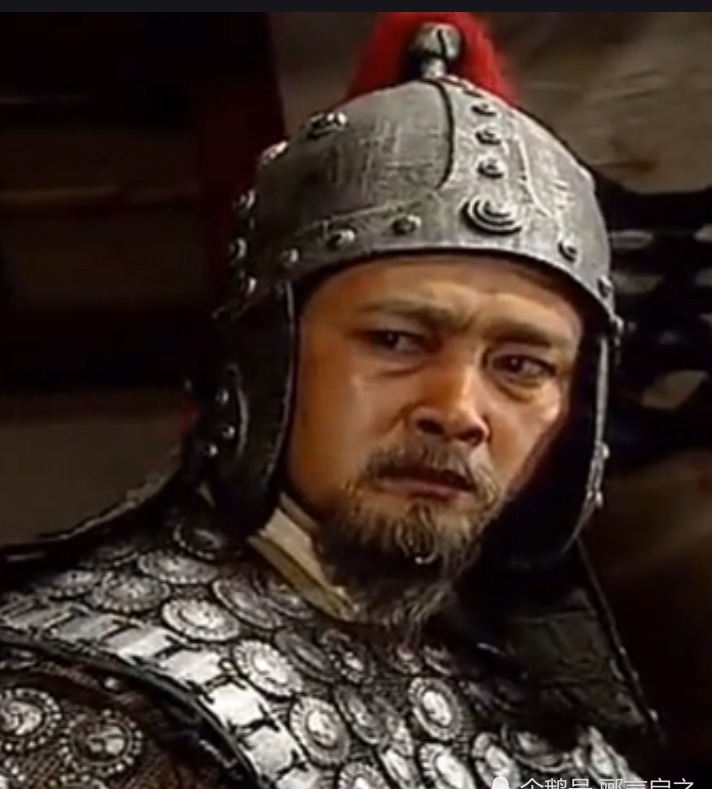 蜀汉|蜀汉最后的擎天之柱——姜维