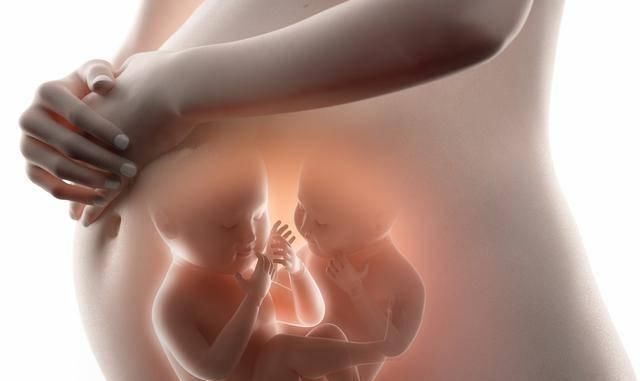 大脑|孕期抓住胎儿大脑发育3个“高峰期”，宝宝出生后，智商只高不低