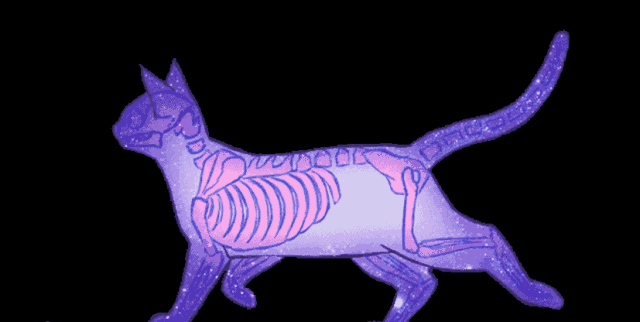 |搞笑GIF:刚领完结婚证,女朋友整个人都飘起来了!