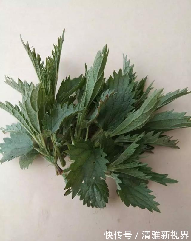 炒菜|饭桌上不常见的野菜,吃过的人是少数,农村人才认识!