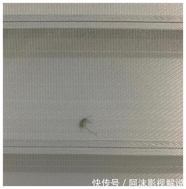 室内门|这5个“网红”家居设计，看似「高大上」，实则很鸡肋，慎选！