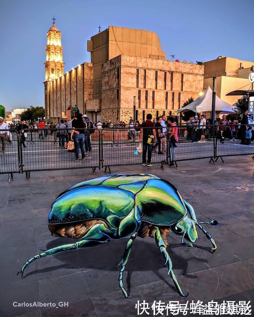 街头艺术|墨西哥版“神笔马良”!考古学家变3D画家,这些街头涂鸦帅爆了