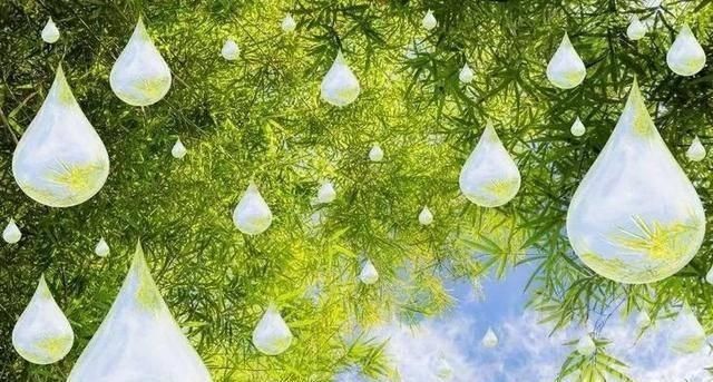 肺癌不痛不痒,可身体出现一个标志提示中晚期,最好去查下肺CT