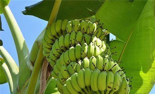 女人爱美要会吃，推荐3种食物，补充营养，延缓衰老，增强体质