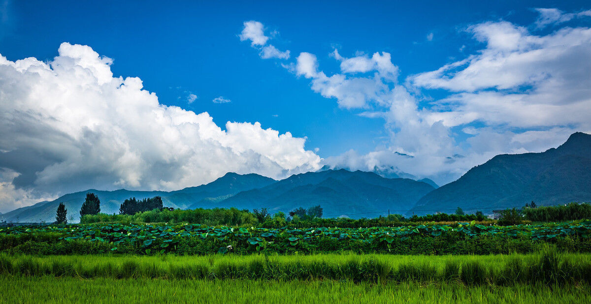 匈奴单于|王莽篡汉：干了许多蠢事，破坏汉匈关系，西汉雄风不再