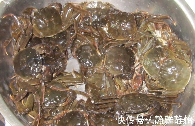 啤酒|蒸螃蟹时，冷水下锅开水下锅这一步不对，螃蟹掉腿，还腥味重！