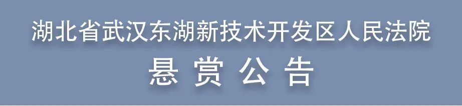 武汉东湖法院发布第二十六期悬赏公告