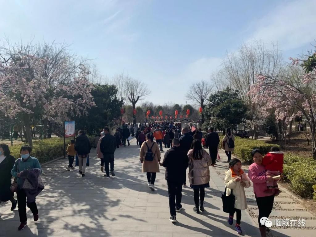 漯河人免费入园!这个景区春节人山人海,好热闹...