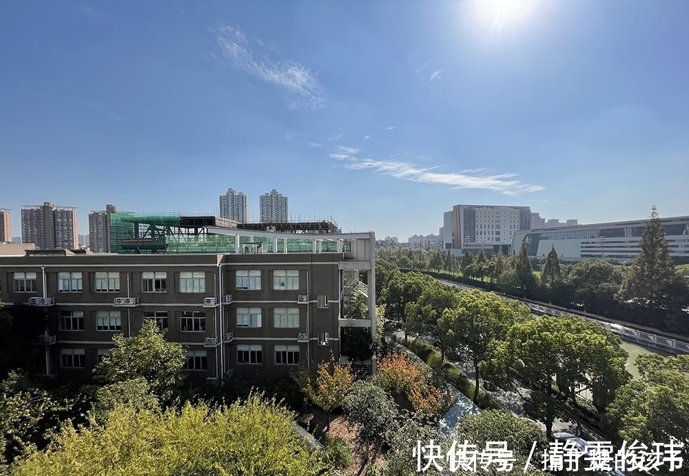 李睿|入手新款苹果手机半个月,他们这样评价新手机