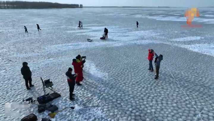 冰雪|吉林一湖出现满湖“汤圆”，大如篮球多达数十万，天然的还是人造的？