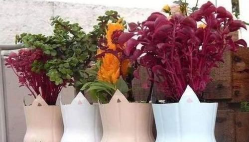 下部分|家里养花怎能少了它们!当花盆,独特、美观又省钱!