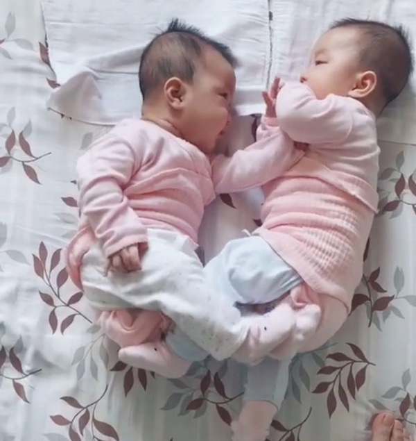 宝宝|一岁双胞胎互相掐架,哥俩下手都贼狠,网友:冤冤相报何时了