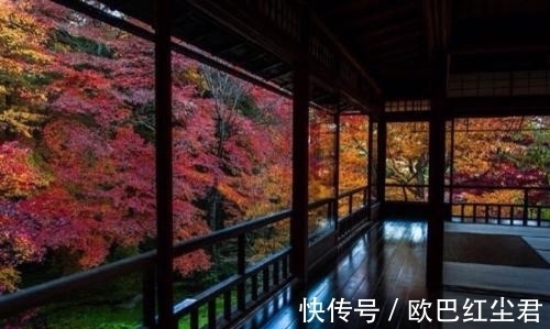 宦途#元代鲜为人知的七律,跌宕起伏,展现出对悠闲生活的向往