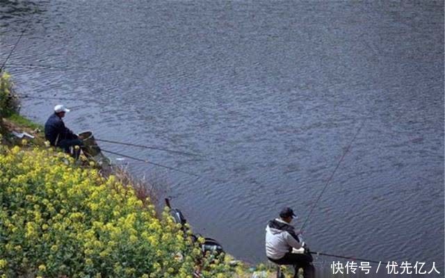 春季钓鱼,打窝不当小杂鱼容易闹窝,做这些调整,提升聚鱼效果