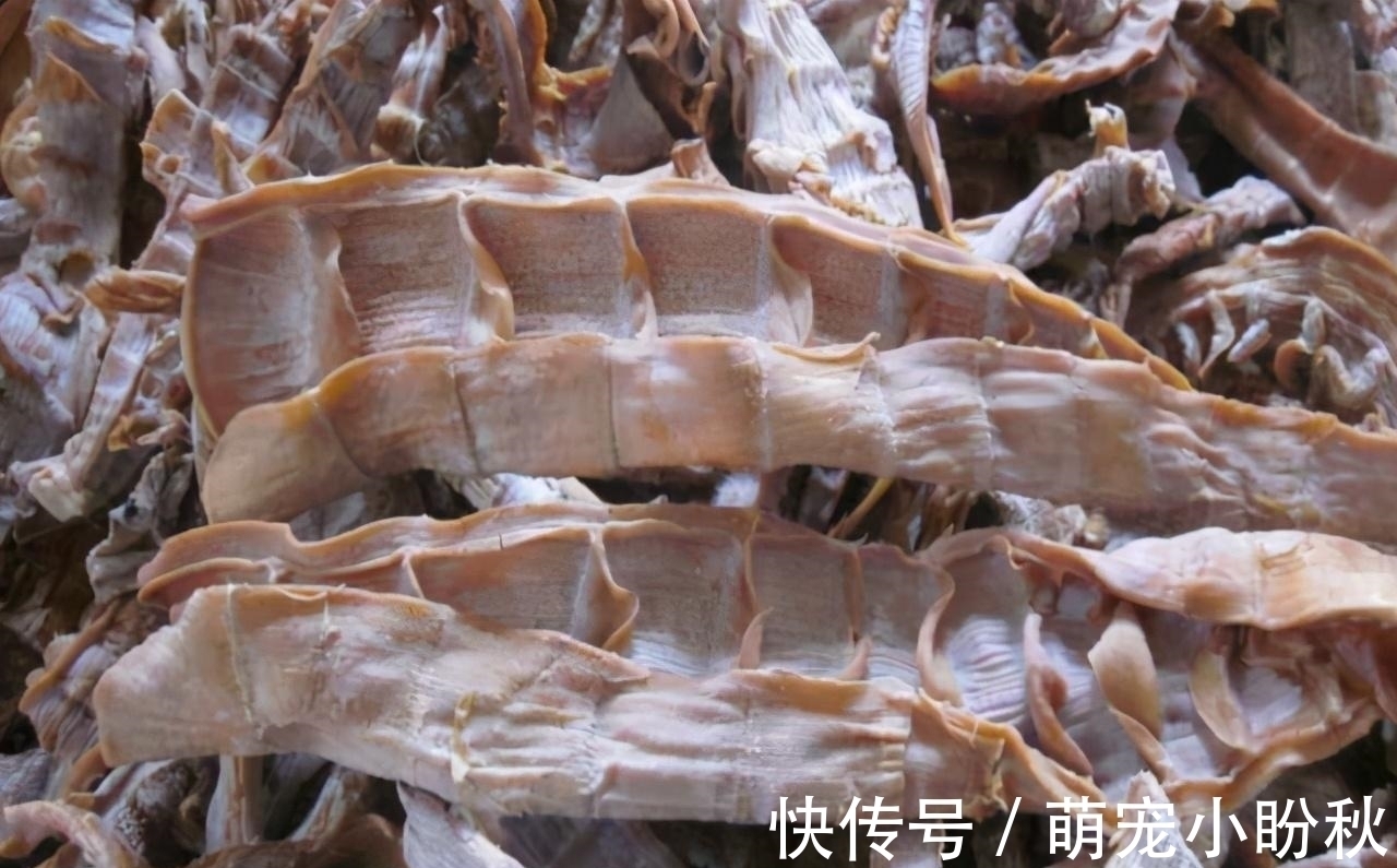 婆婆从家乡寄来的土特产,老妈却瞧不起,邻居:你可真不识货!