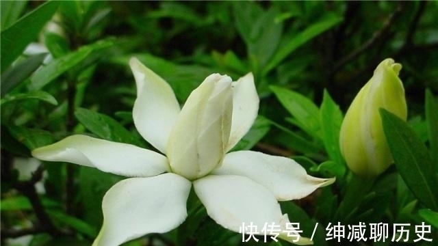 为人处世#内心强大的人,为人处世时,往往遵循这四条法则