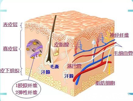 护肤 微针or水光补水？肤质改善的必经之路，“不破不立”医美护肤指南！