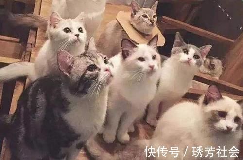 房产|买的房子除了可以拿来住,还可以做这些事,不知道你就亏了