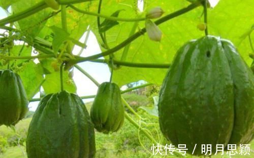 食物|女性想要身体好,可以多吃3种食物,排毒养颜,提高免疫力!