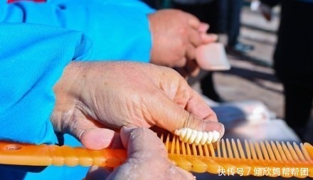 冬至包|冬至 除了饺子 你还知道几个节令美食?